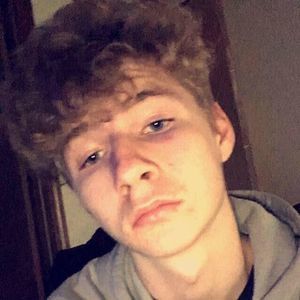 Meet your Posher, Lee